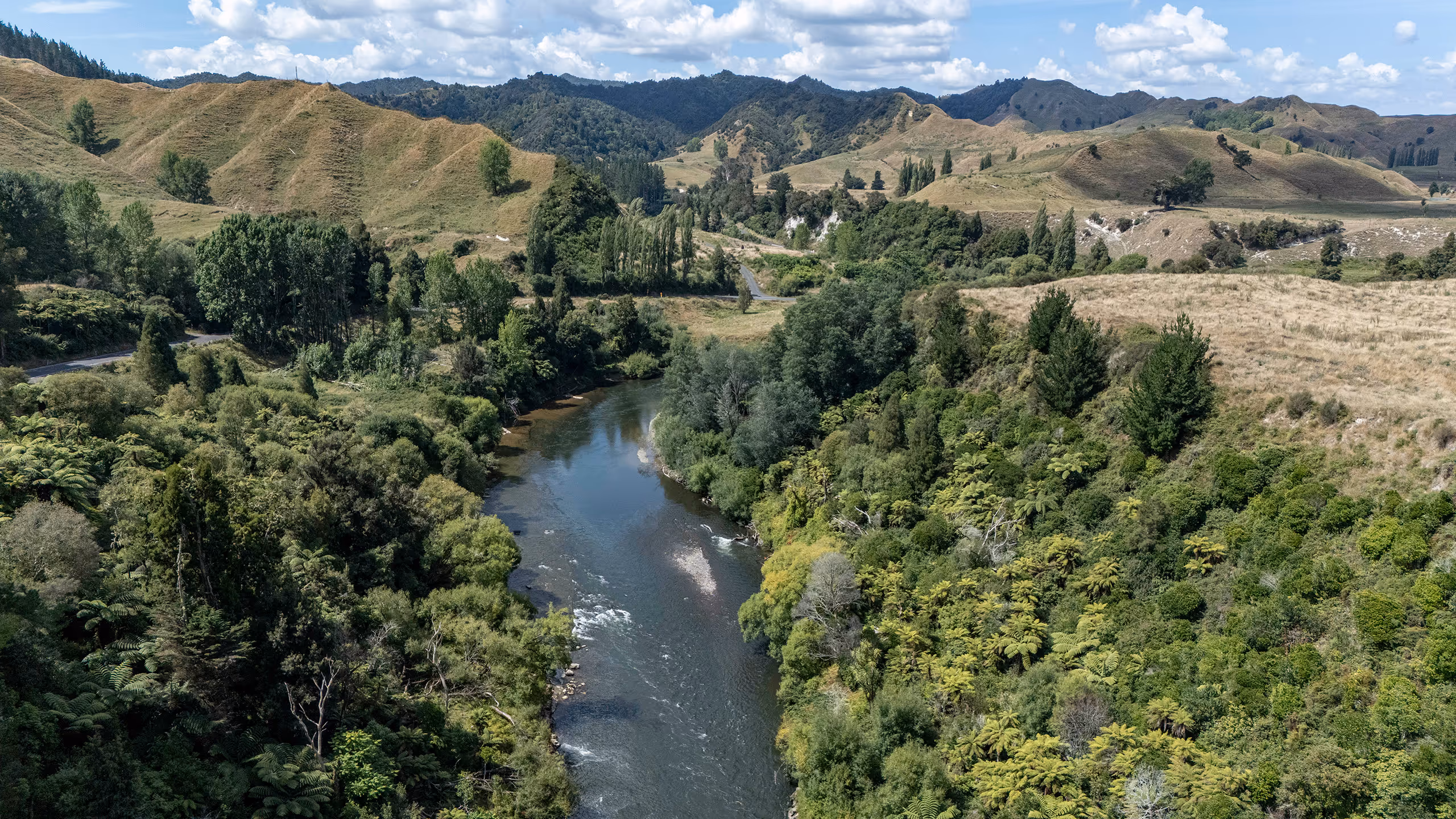 Whanganui Catchment Collective Upper Ongarue Catchment
