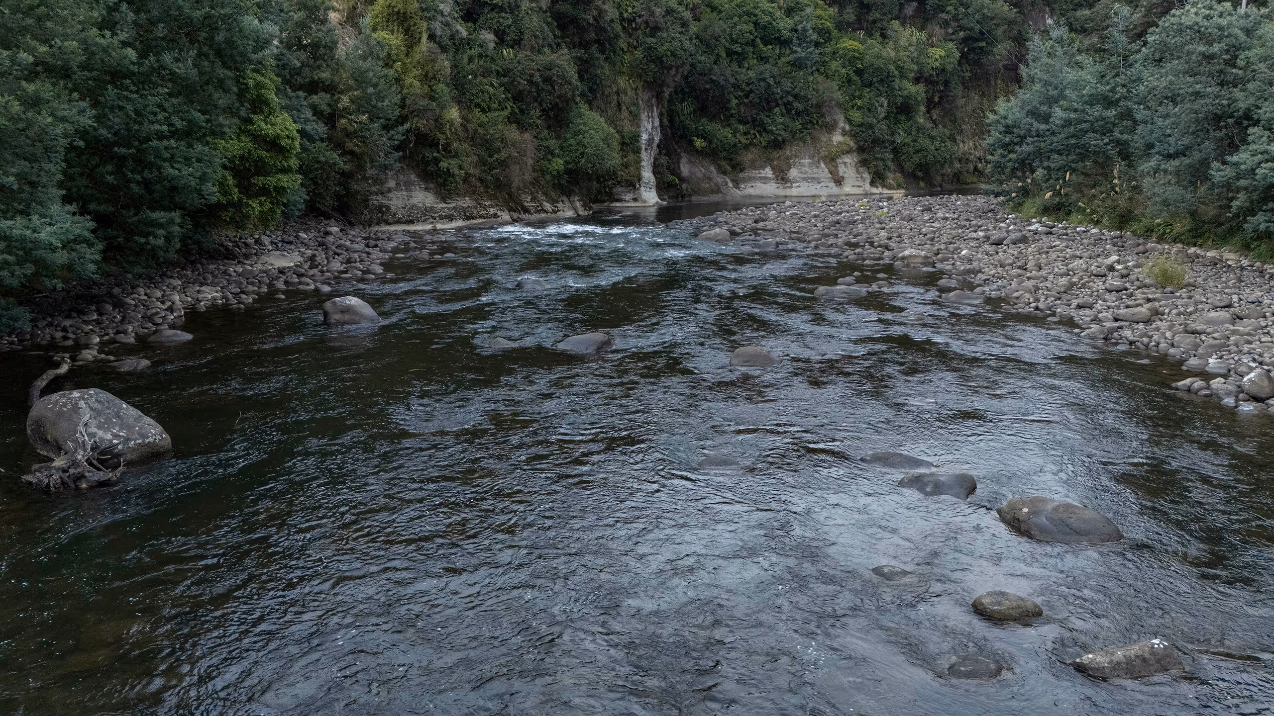 The Whakapapa Catchment area encompasses the Piopiotea, Kakahi, and Whakapapa river catchment areas.