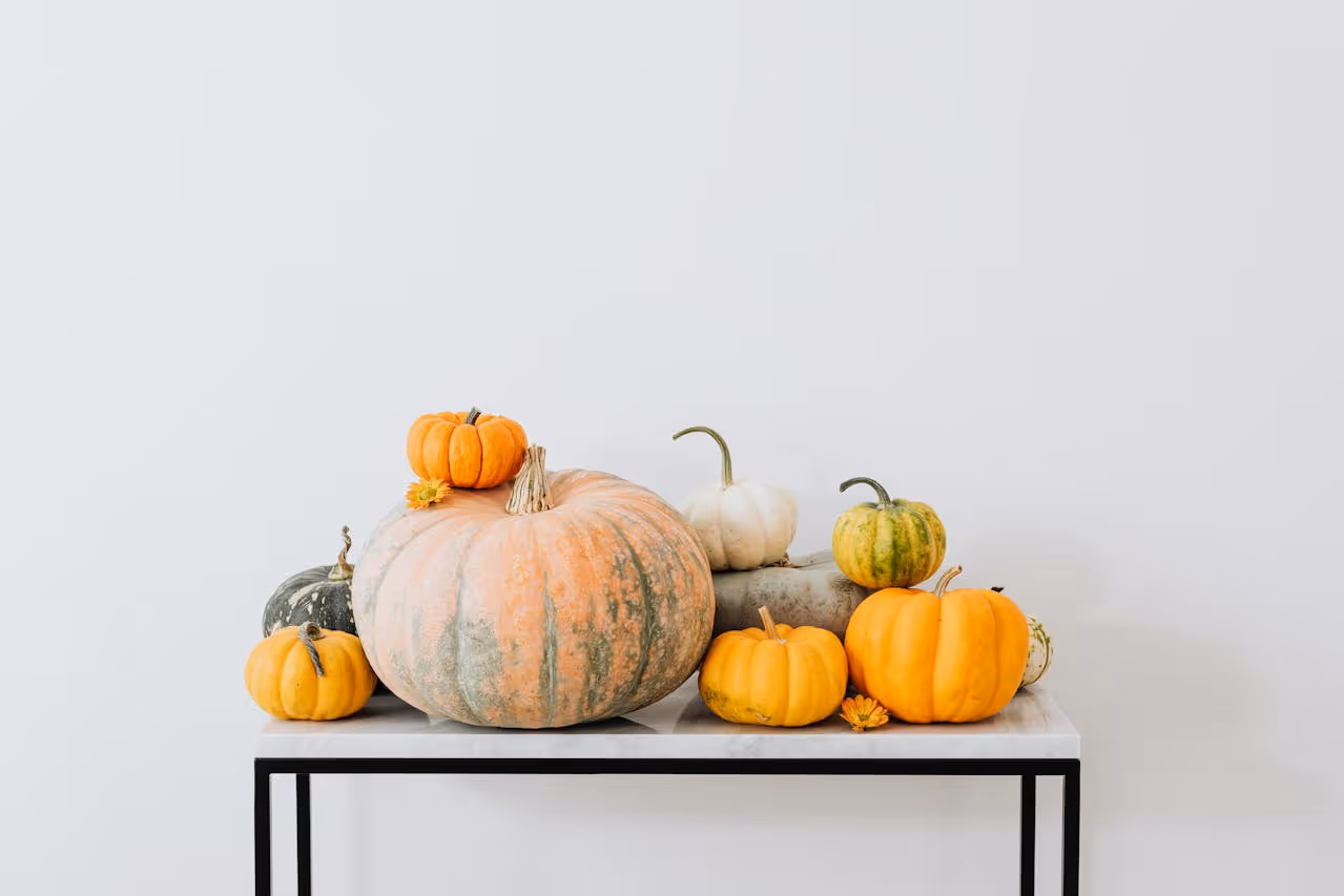 8 idées décoration et animation pour un Halloween réussi dans votre institut