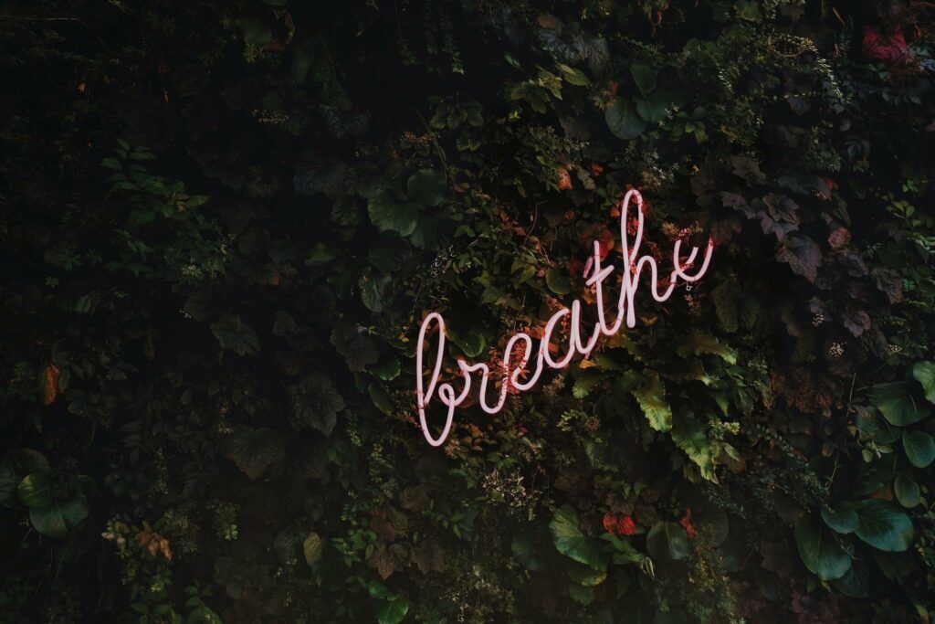 Pink neon word 'breathe' glowing on a dark green leafy wall background.