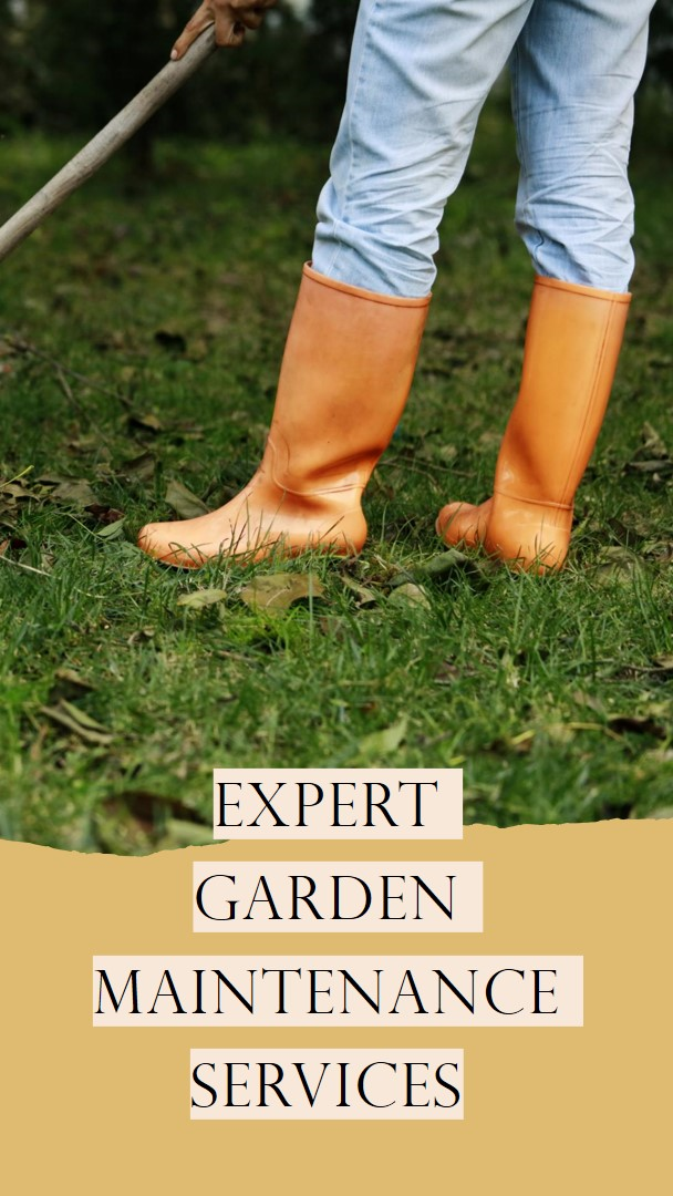 expert care of lawn 