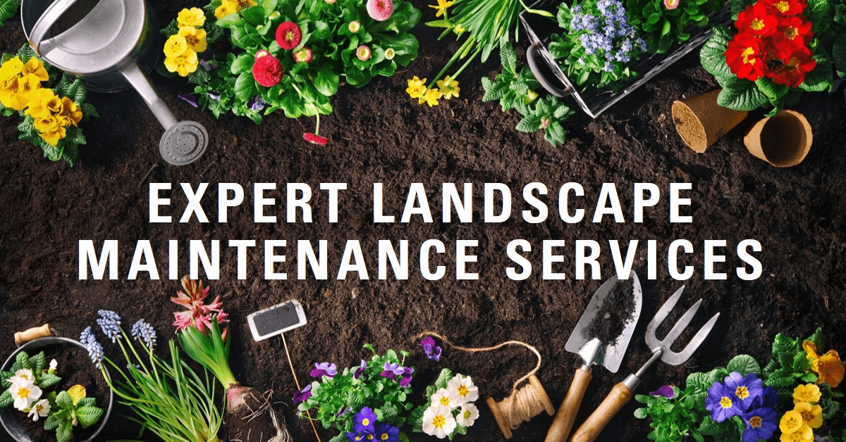 expert landscape service by one landscaping