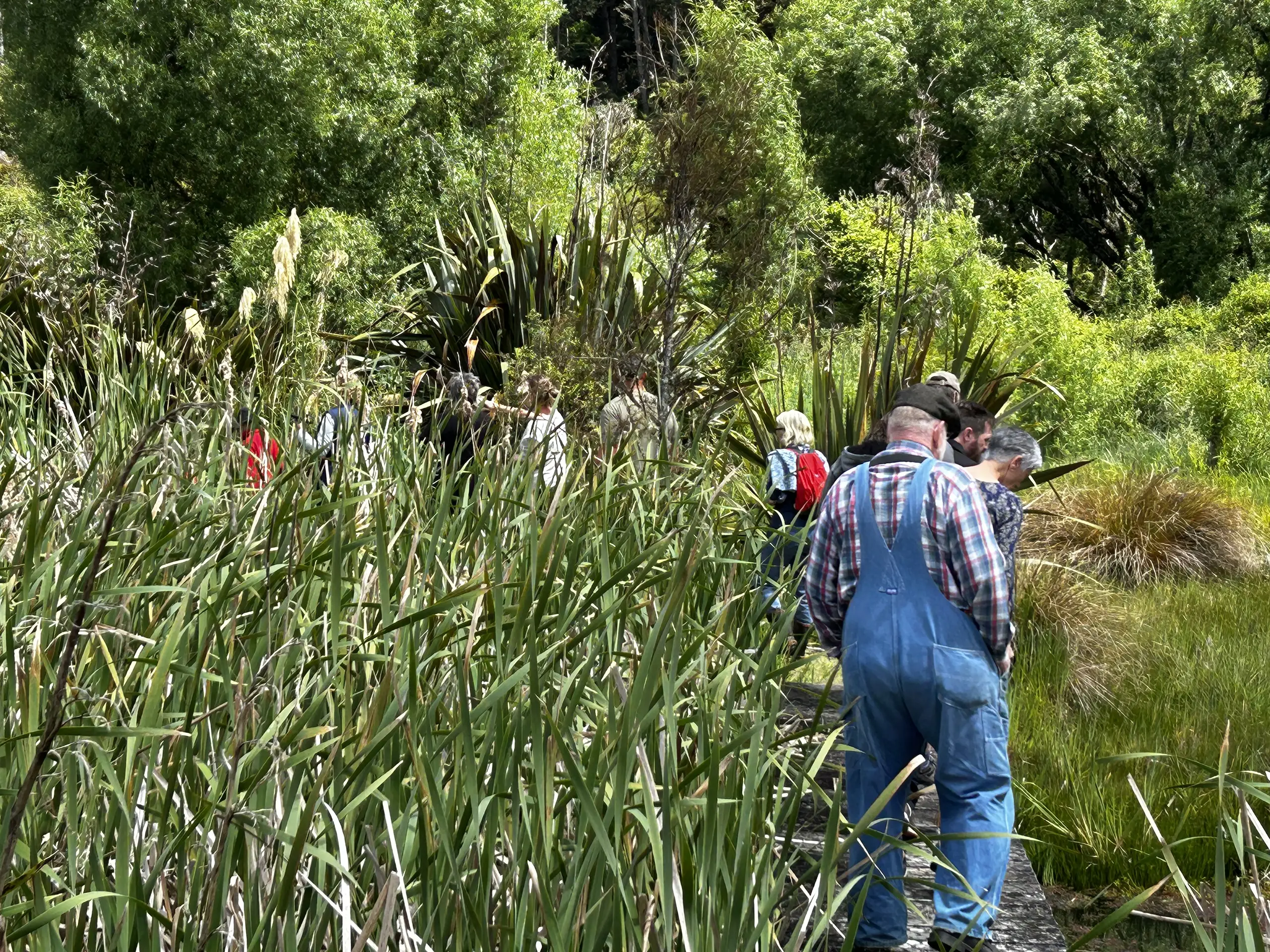 The Retaruke Trap Bank