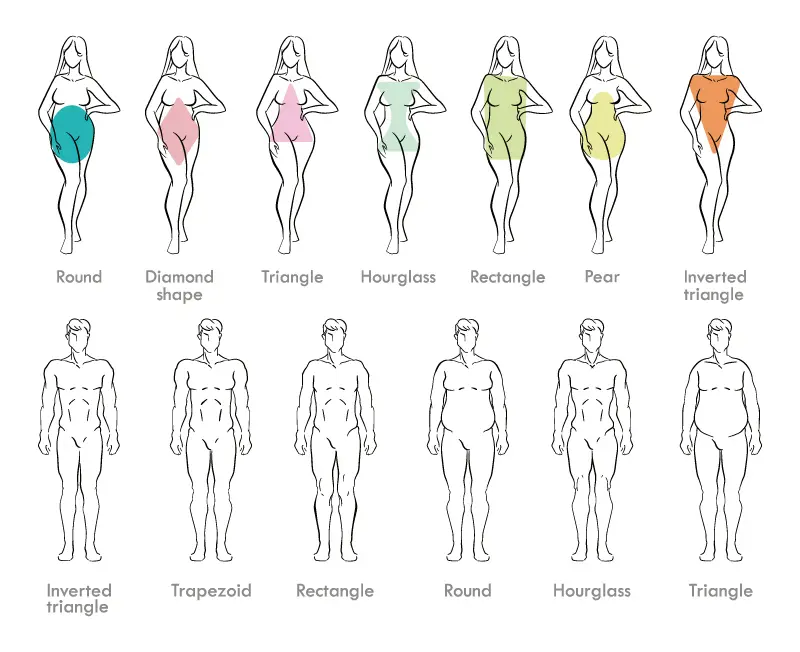 Typical fat distribution in different body types