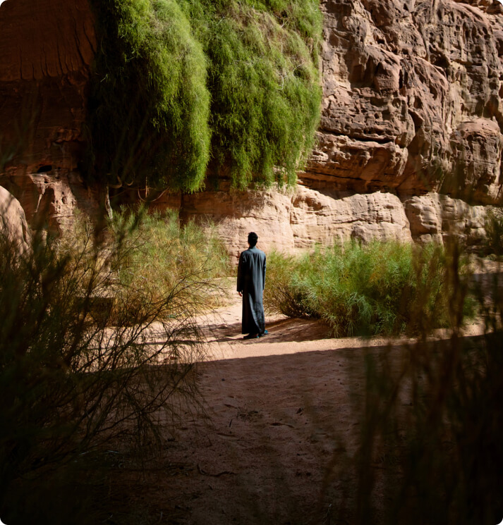 5 Principles Of Effective Web Design