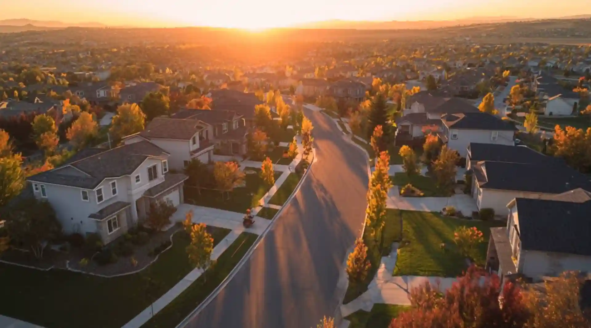 Image of Amplifiles PDF Viewer