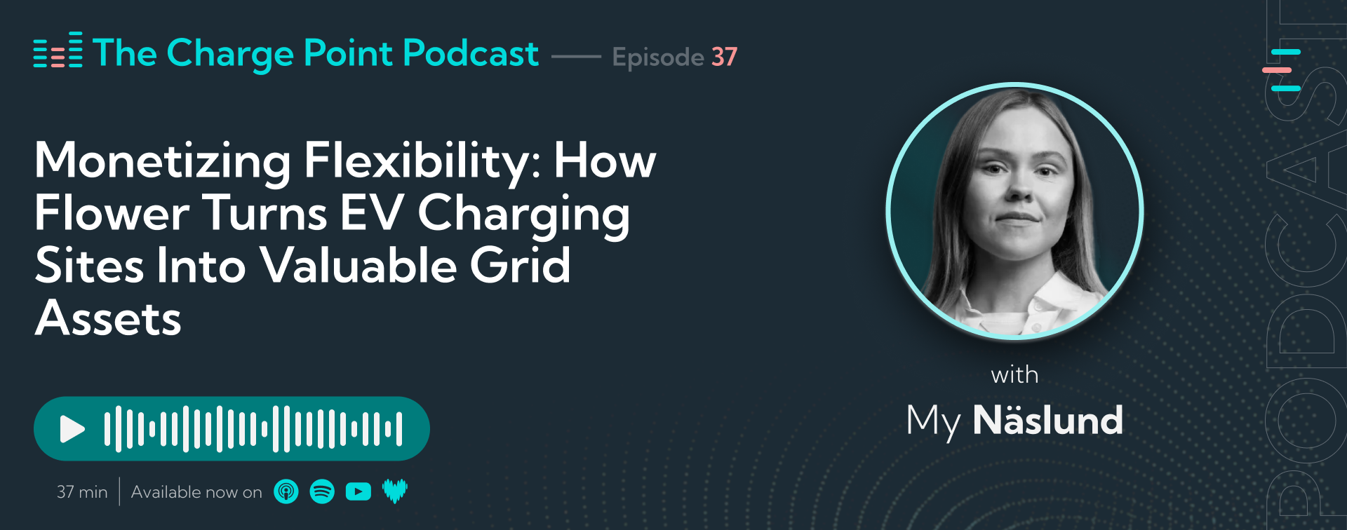 How Battery Energy Storage and Virtual Power Plants Are Redefining CPO Profitability