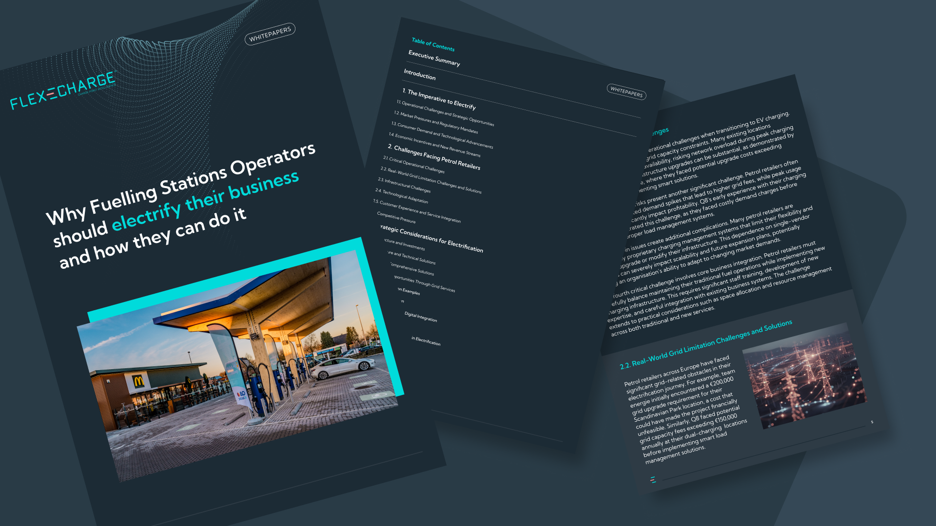 The Future of Petrol Retail: Why and How to Electrify Your Business