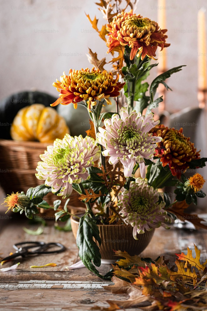 Vase of autumn chrysanthemums with pumpkins in the background on a rustic wooden table.