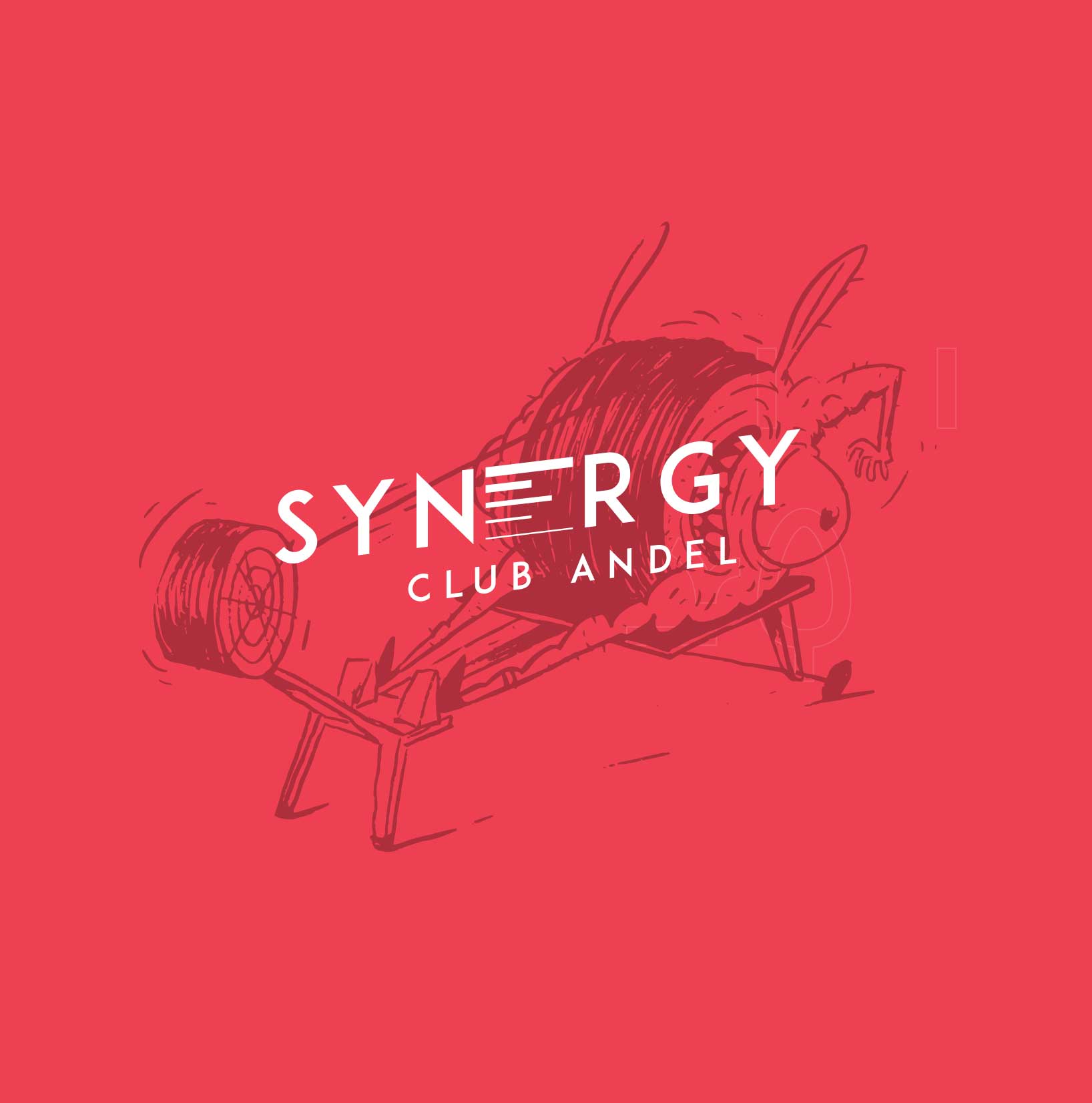 Synergy club reference slide 1