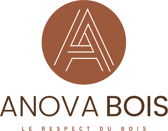 logo anova bois