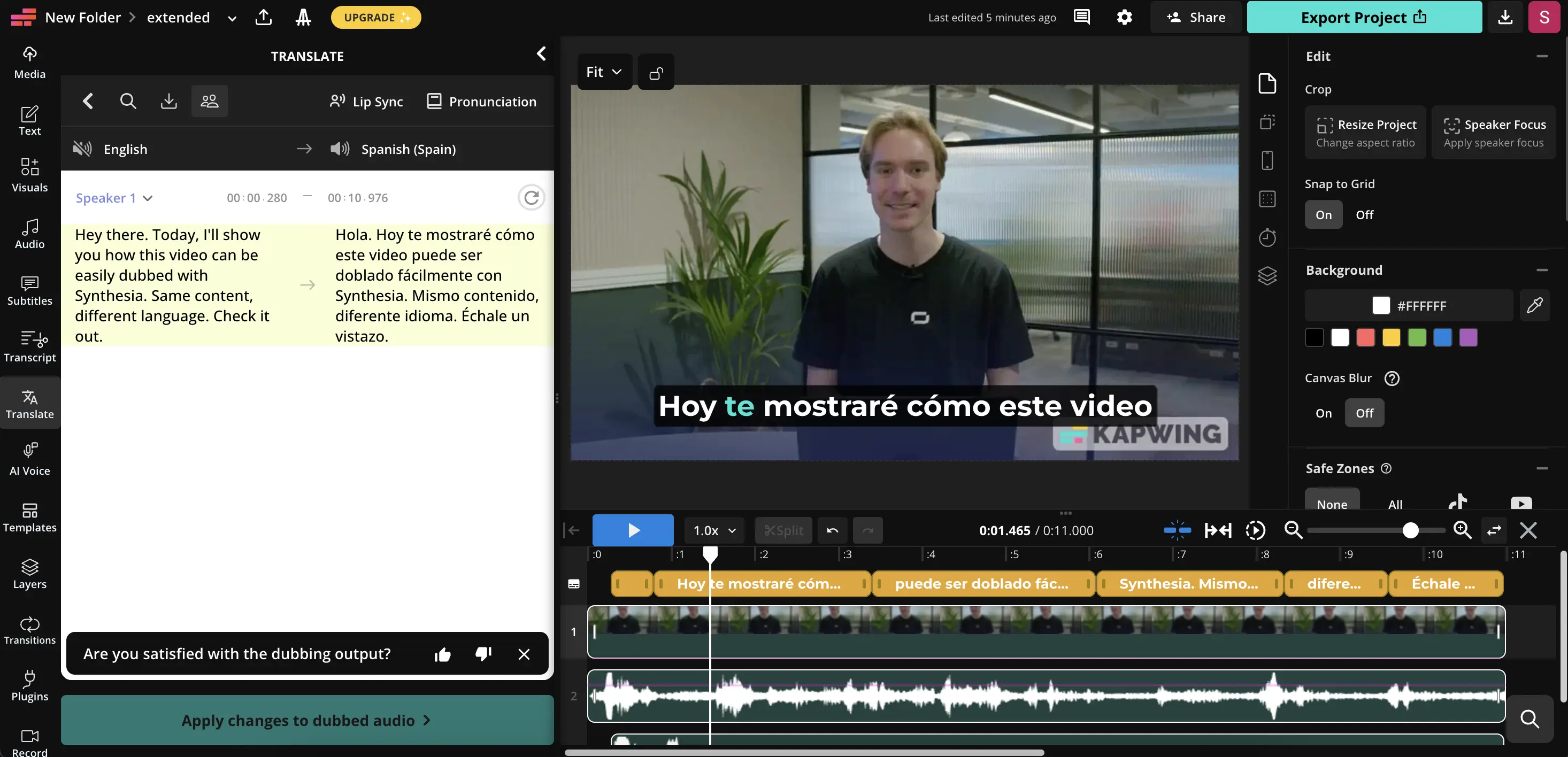 Kapwing's video translation interface