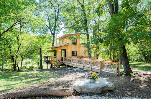 Whitetail and Pine Treehouse