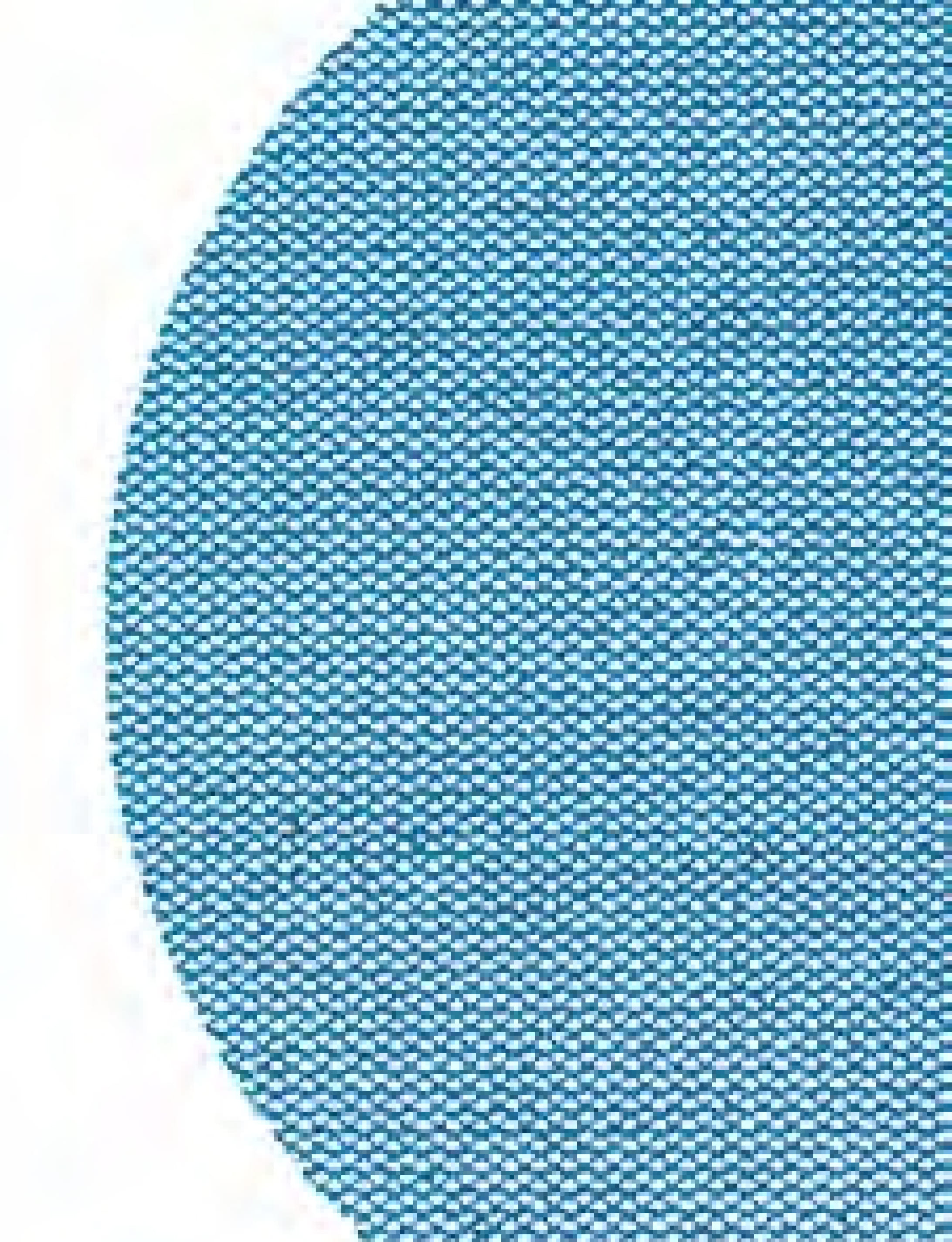 Smirdex 750 Ceramic Net