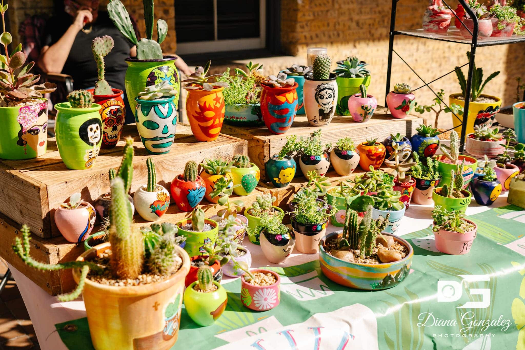 Live Plants