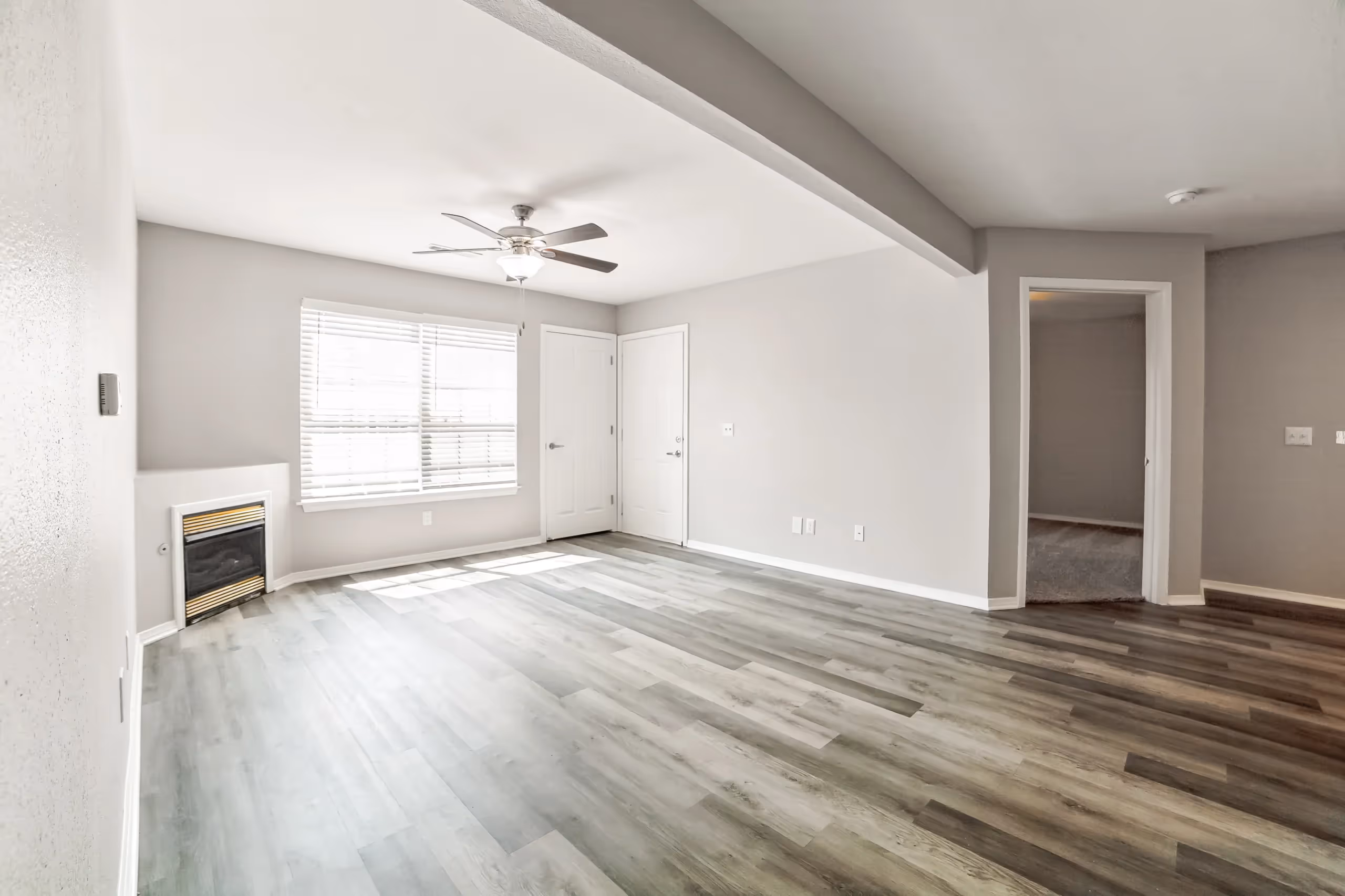 Empty living room and front door