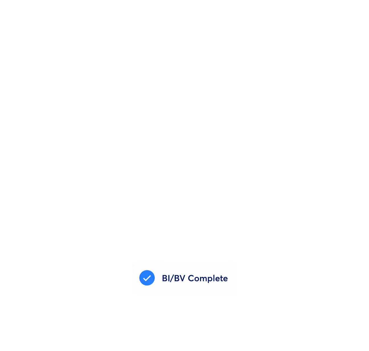 AI Patient Journey BI/BV Complete