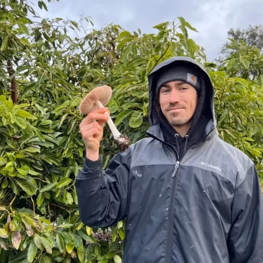 Mitch Hinrichs Local Line