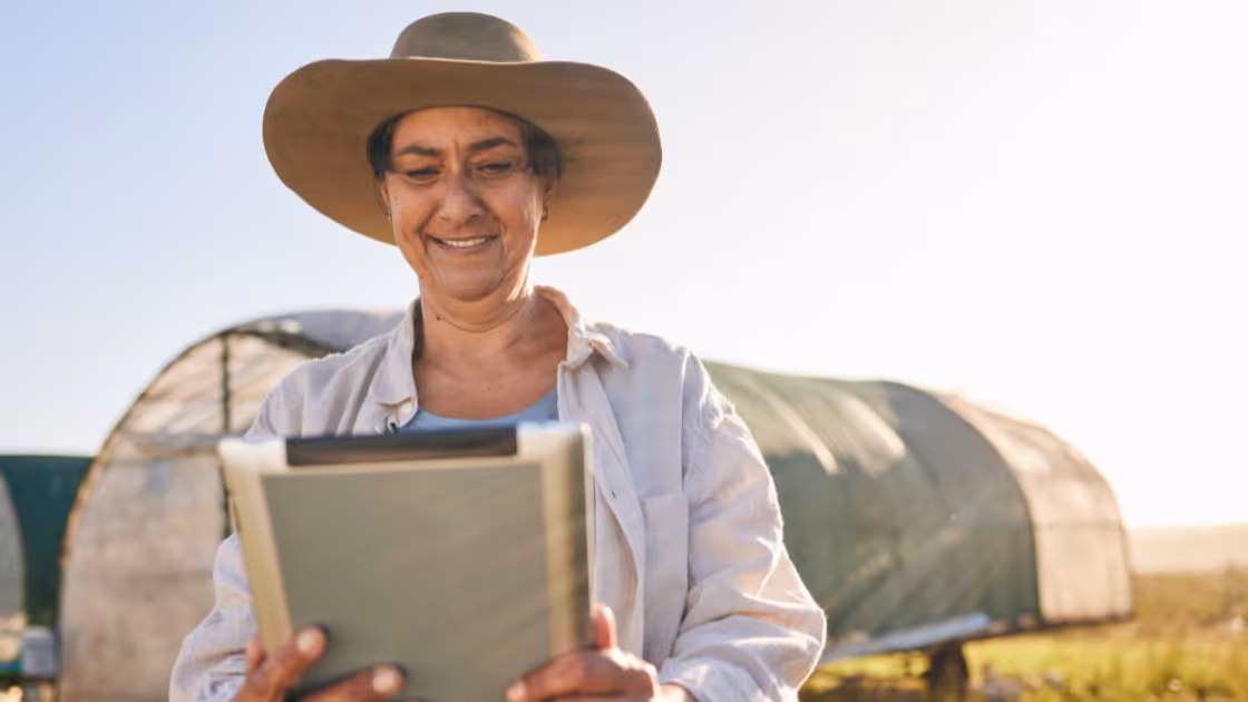 Local Line's Essentials: Mastering Inventory Management