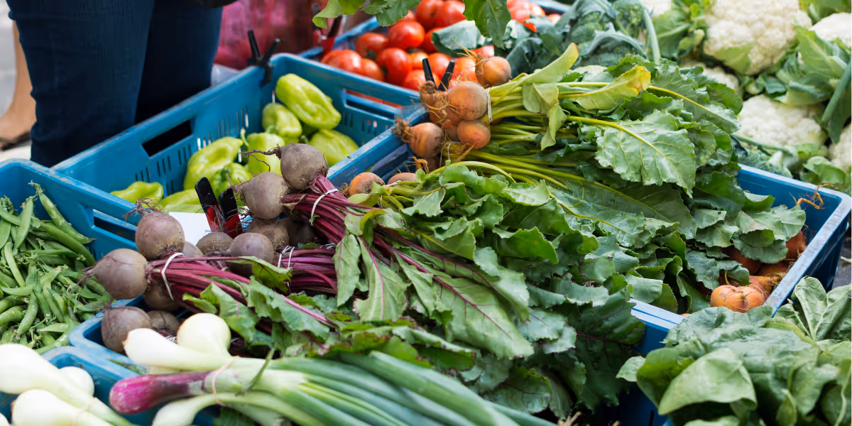 Farm fresh vegetables in crates