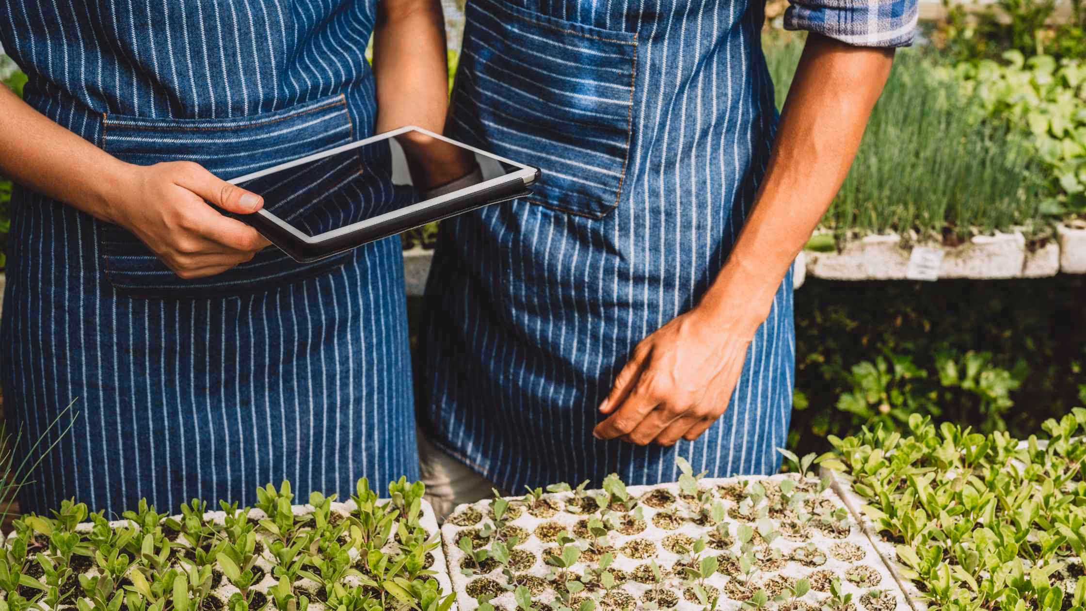 The Top 5 Local Line Sales Reports You Need to Be Using for Your Farm