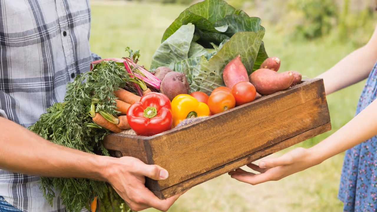 Efficient Pick and Pack Workflow for Your Food Hub