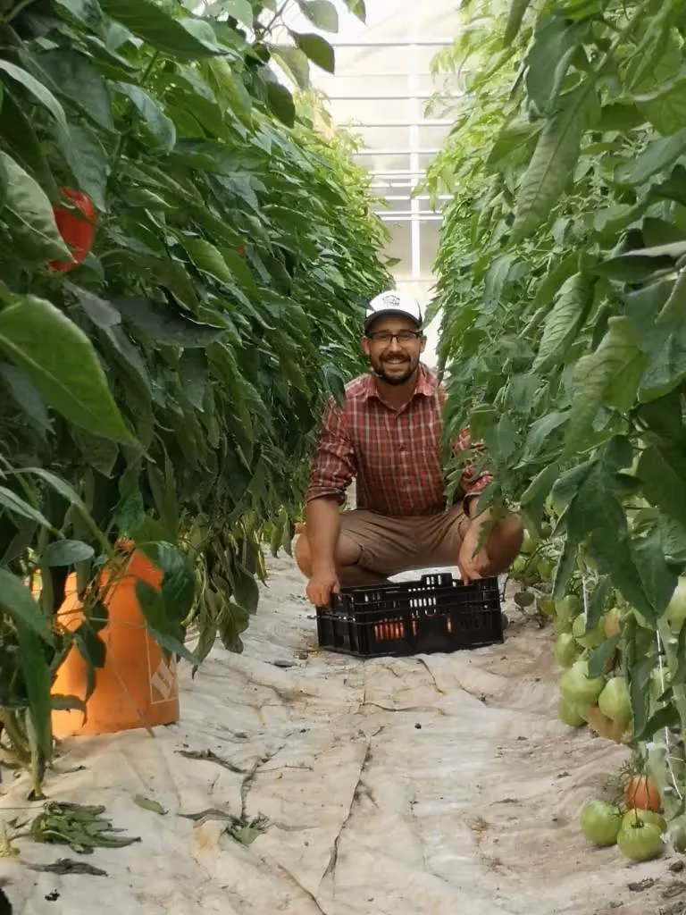 Jesse Milky Way Farm Local Line