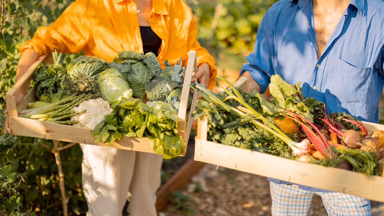 People carrying variety of vegetables