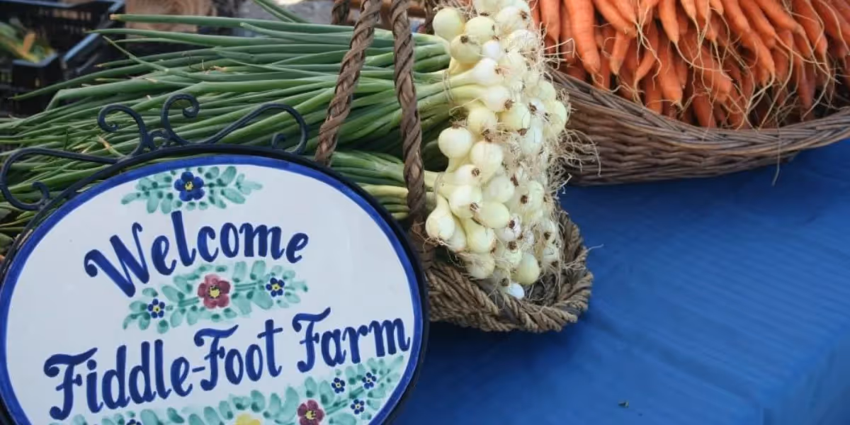 How this Biodynamic Farm is Meeting Demand Online