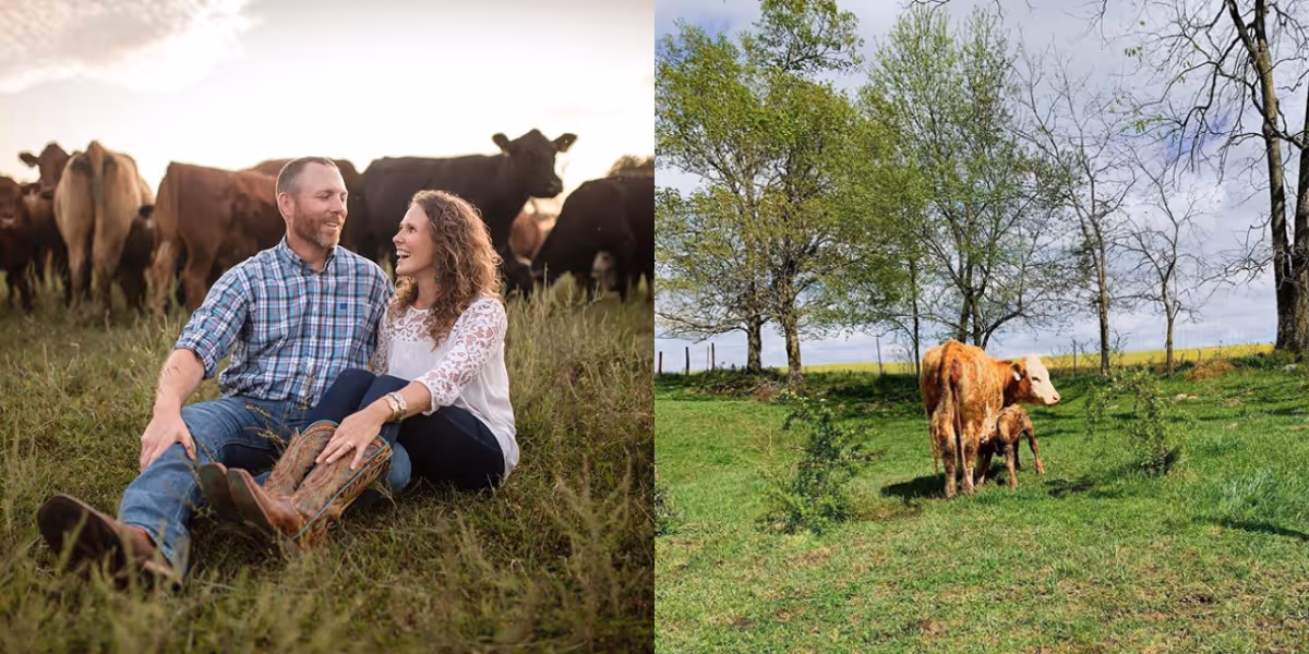 Bluegrass Beef Kentucky Local Line