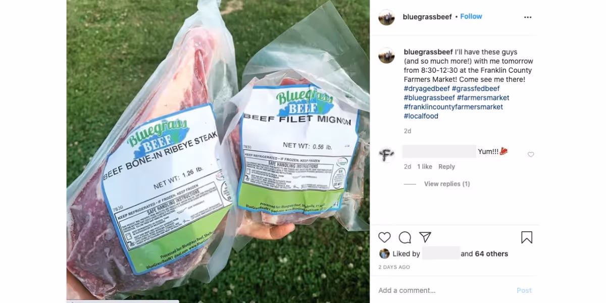 Blog Feature Image_Bluegrass Instagram