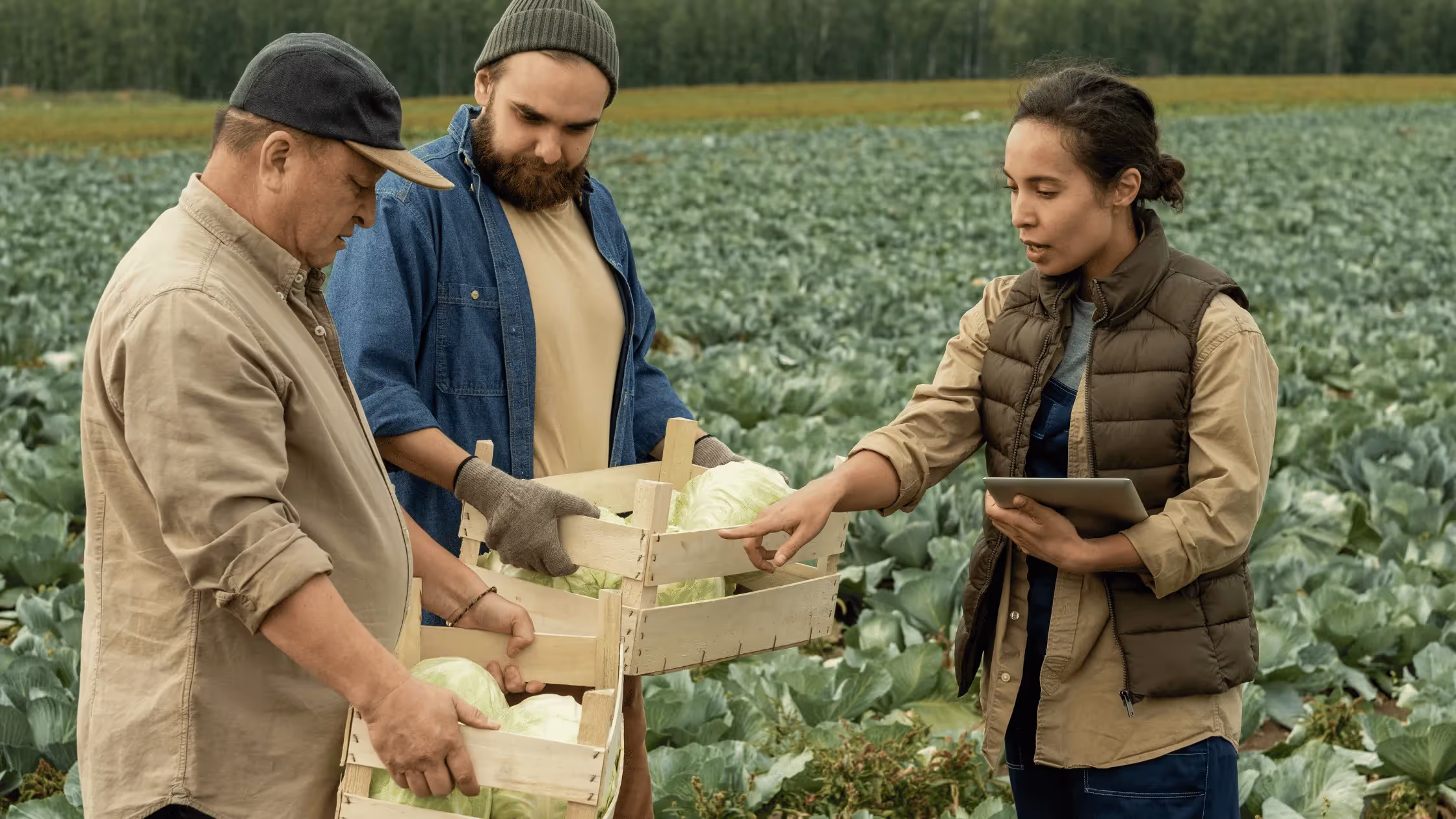 Win More Sales: 6 Offers using Local Line Coupon Codes