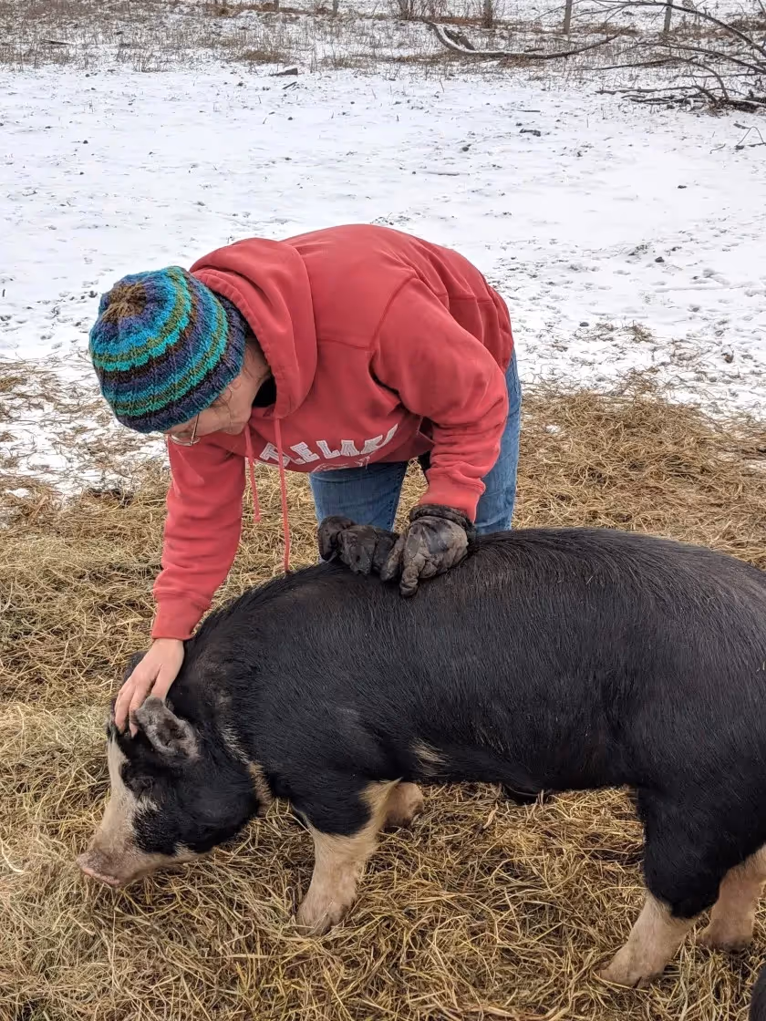 Stone Horse Farm Local Line Success Story