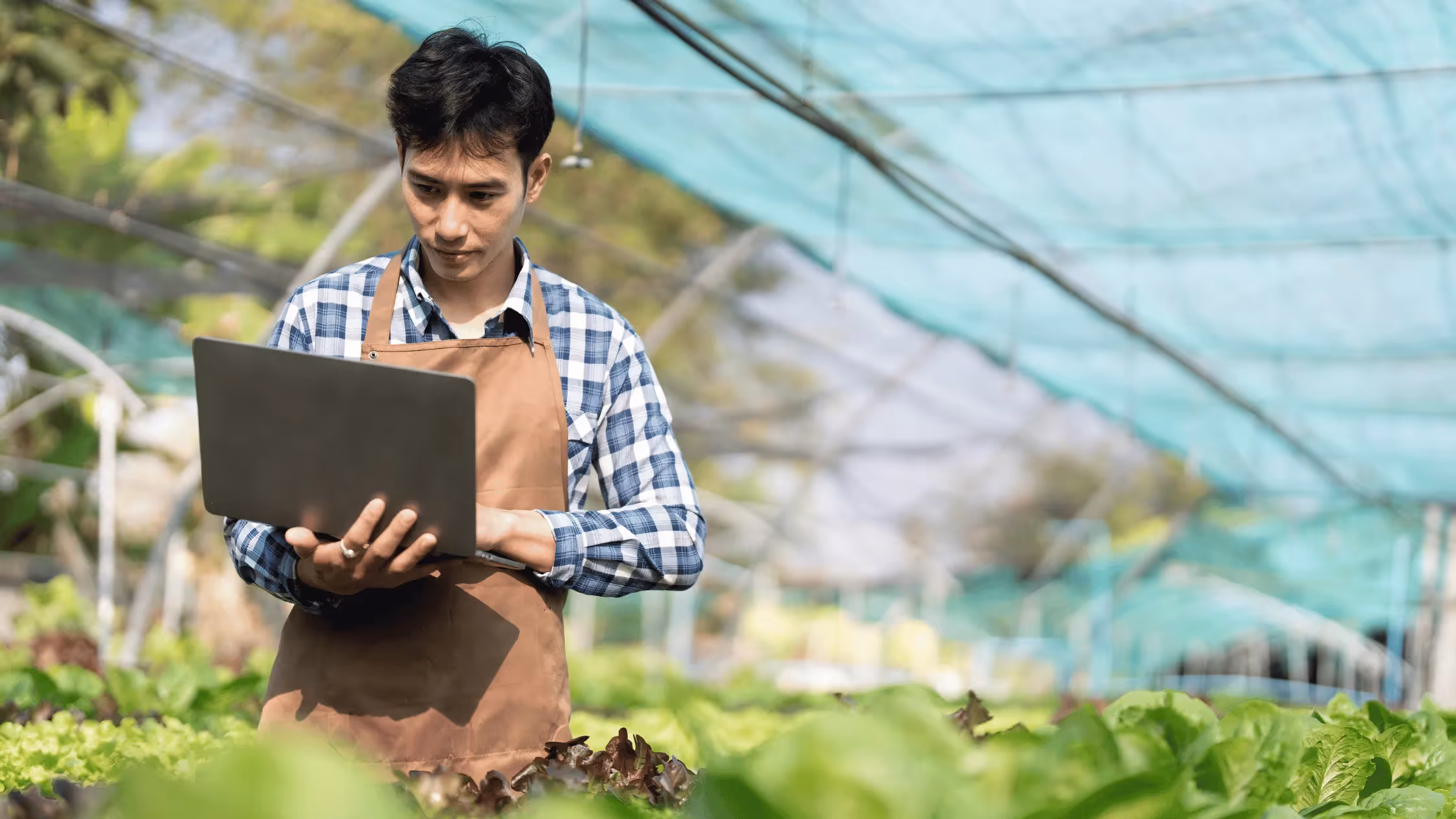 Farmer working on laptop in garden