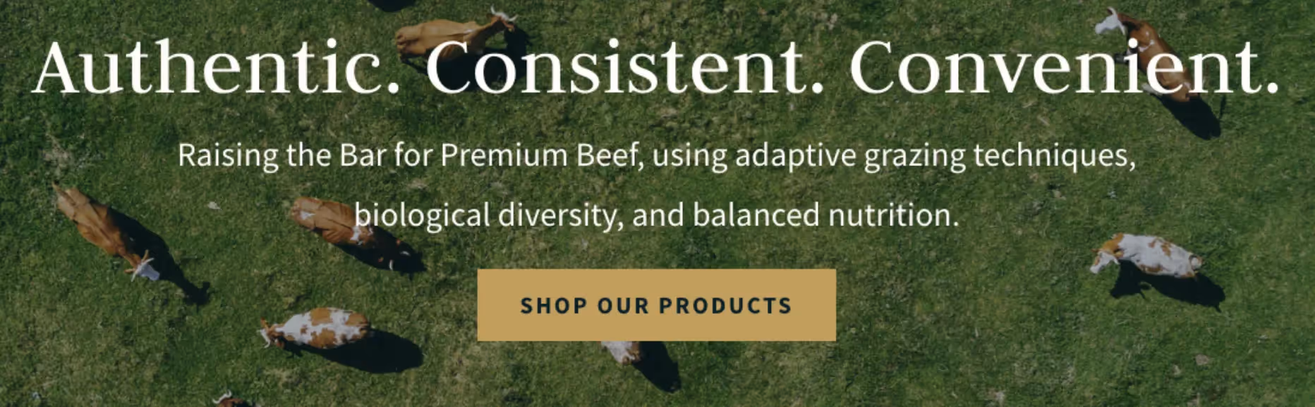 Shop our product cta