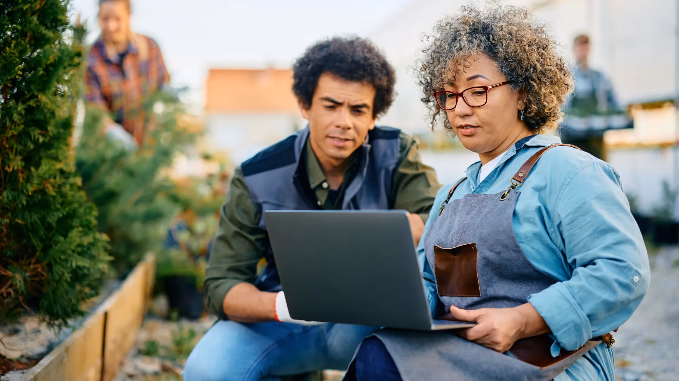 Enterprise Accounting: Revolutionize Your Farm Financials