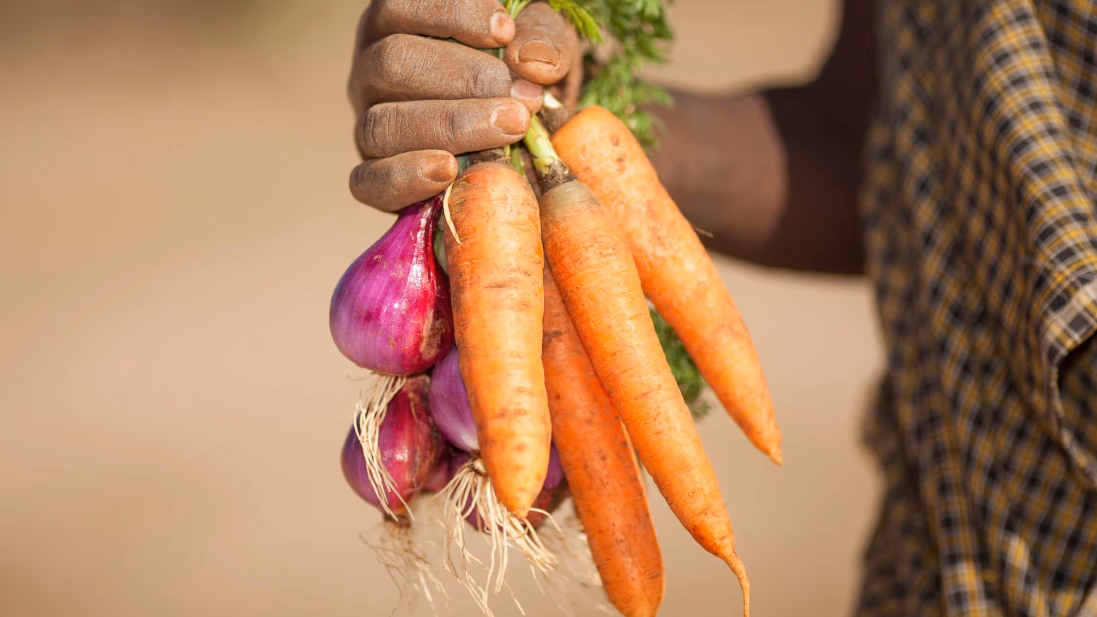 How to Prep Your Farm's Website for Sales Conversions