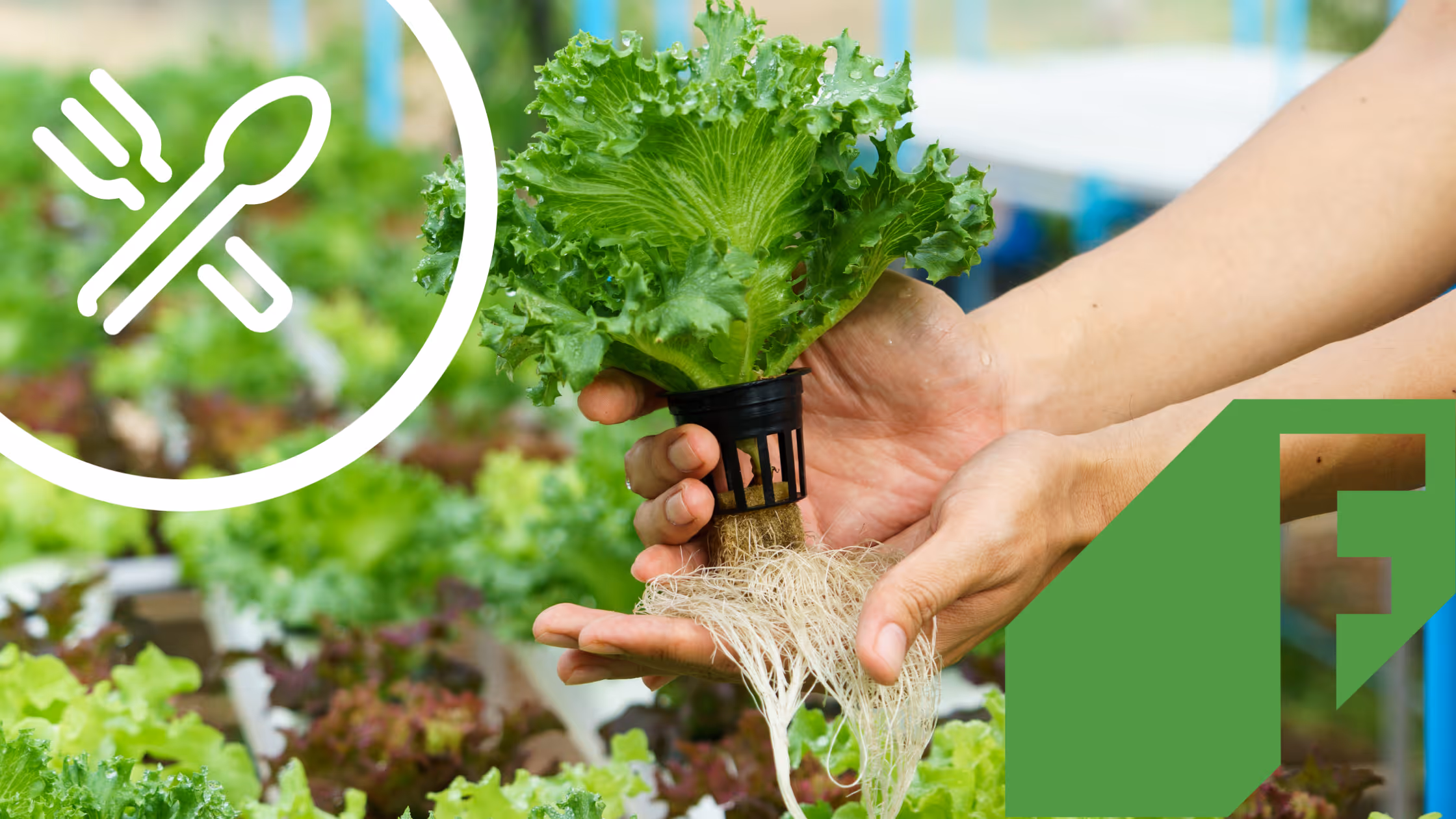 Local Line and Freight Farms Partner to Support Growth of the Local Food Industry