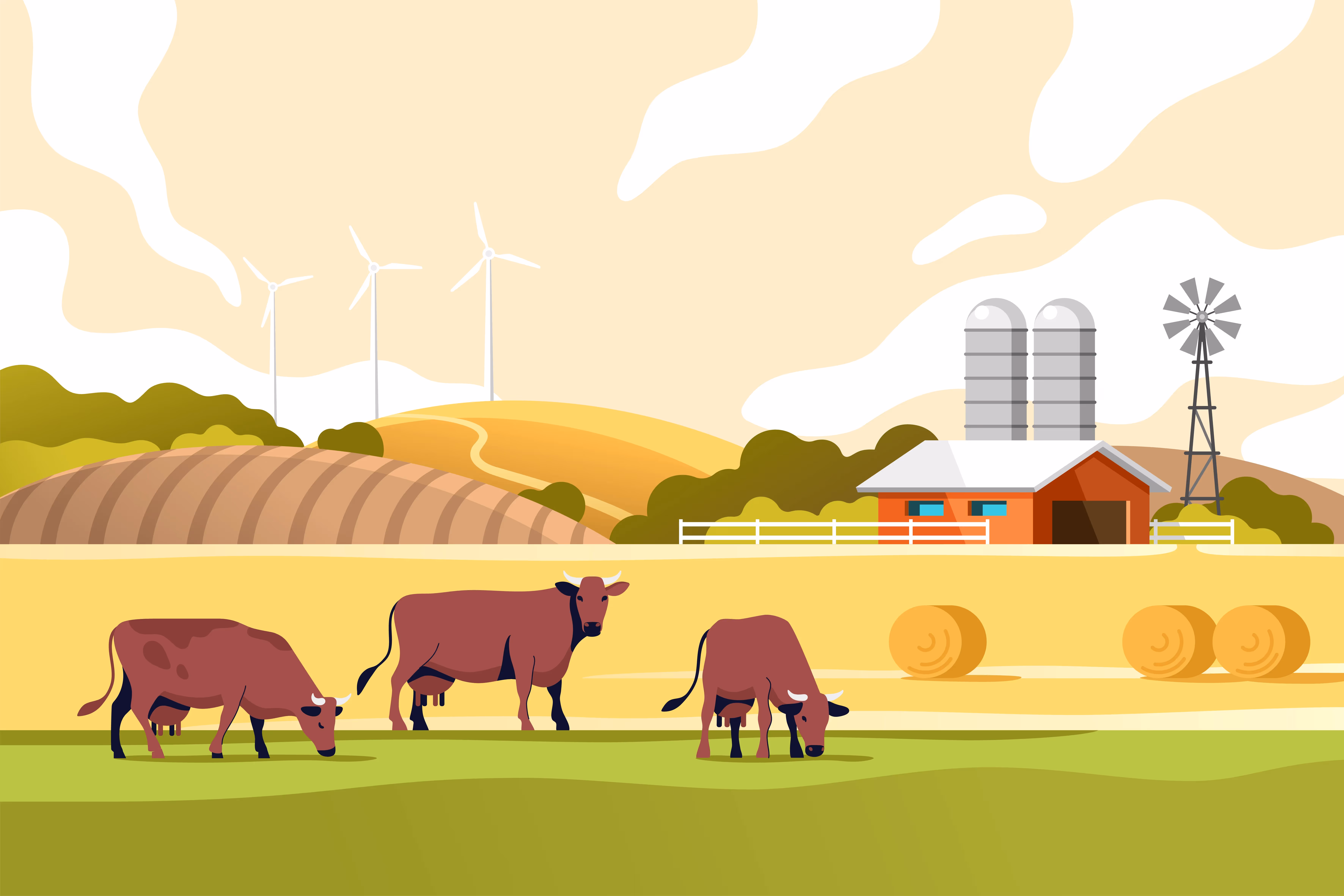 Local Line Manifesto