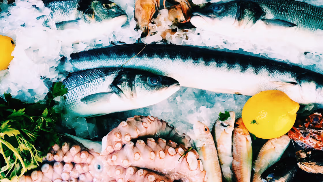 Why Local Line is a Great E-Commerce Platform for Seafood