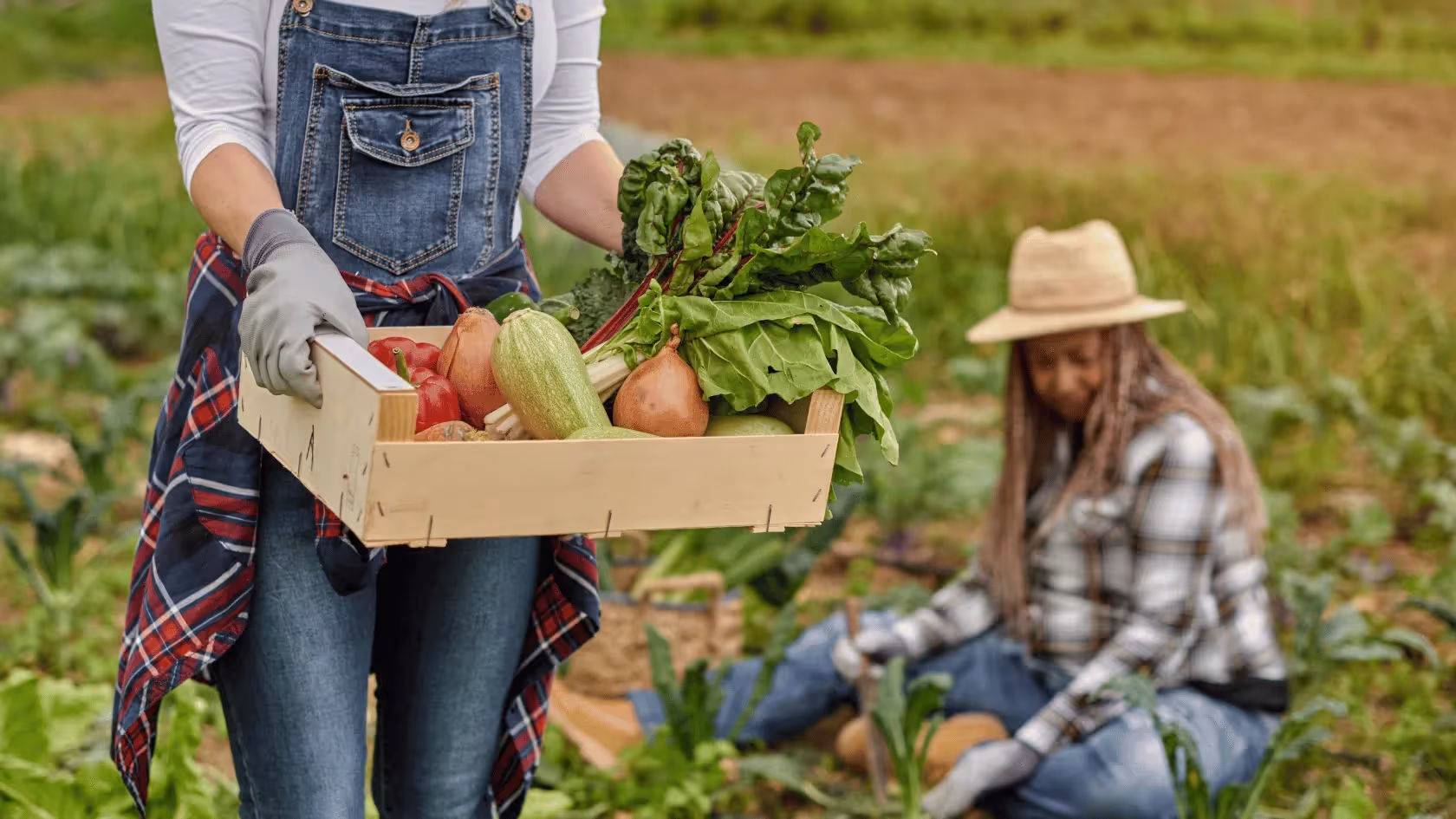 Farmer holding a wooden box with fresh organic vegetables