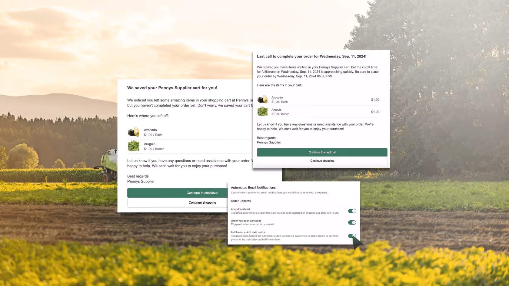 New Feature: Increase Sales Conversions with New Abandoned Cart Emails
