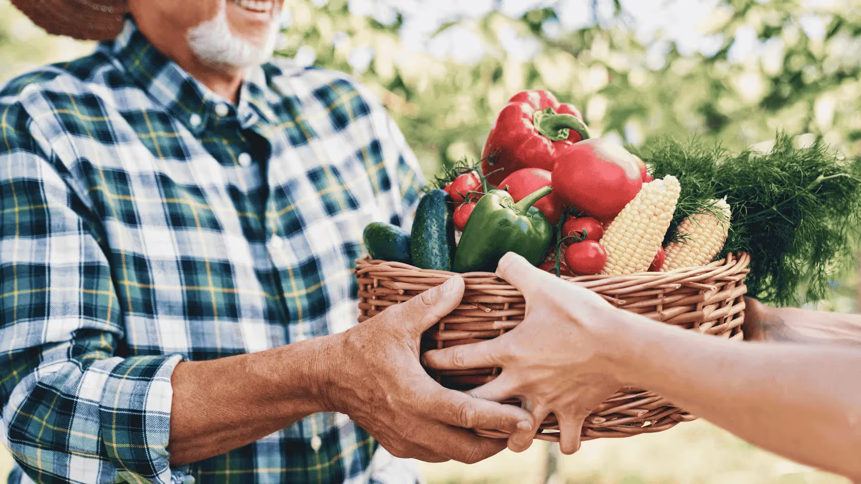 5 Benefits of Food Hubs for Farmers