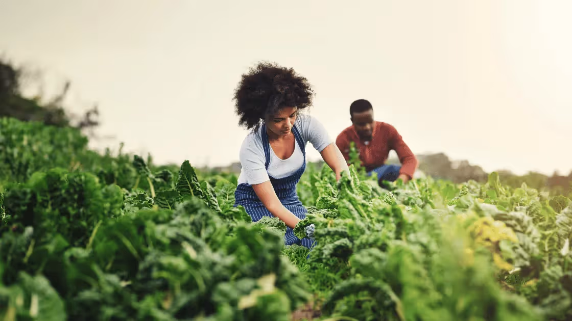 9 Best E-commerce Platforms for Farms (2025)