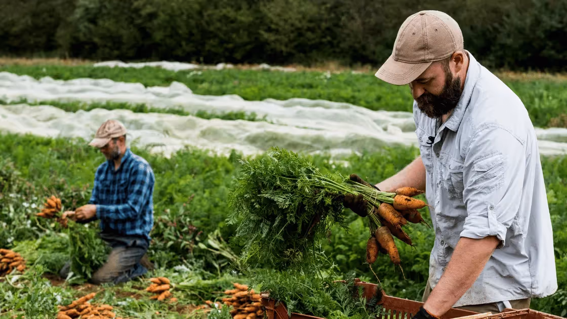 6 Best CSA Software Platforms for Farms (2026)