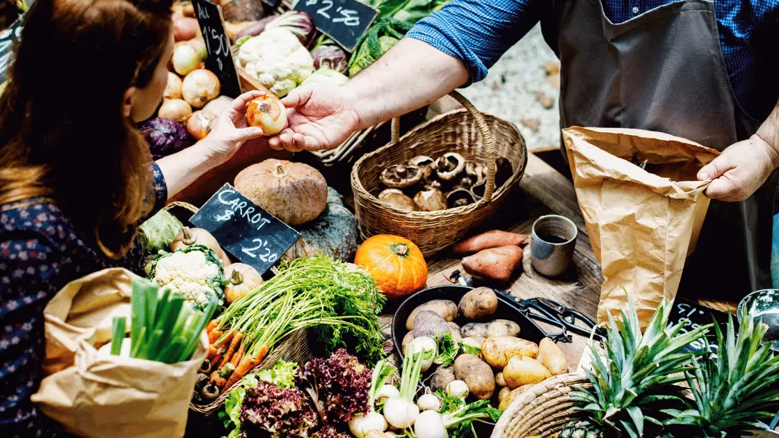 Food Hub Sales and Marketing Metrics You Should Be Tracking