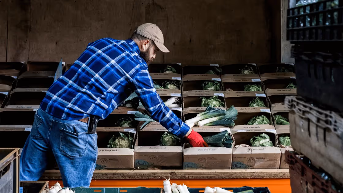 Why Local Line Leads the Way in Wholesale Sales for Farms