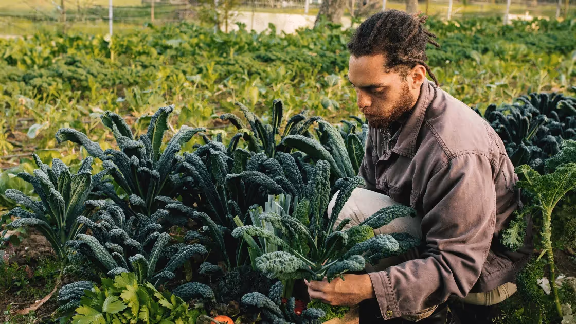 Write Farm Product Descriptions That Sell: A Step-by-Step Guide