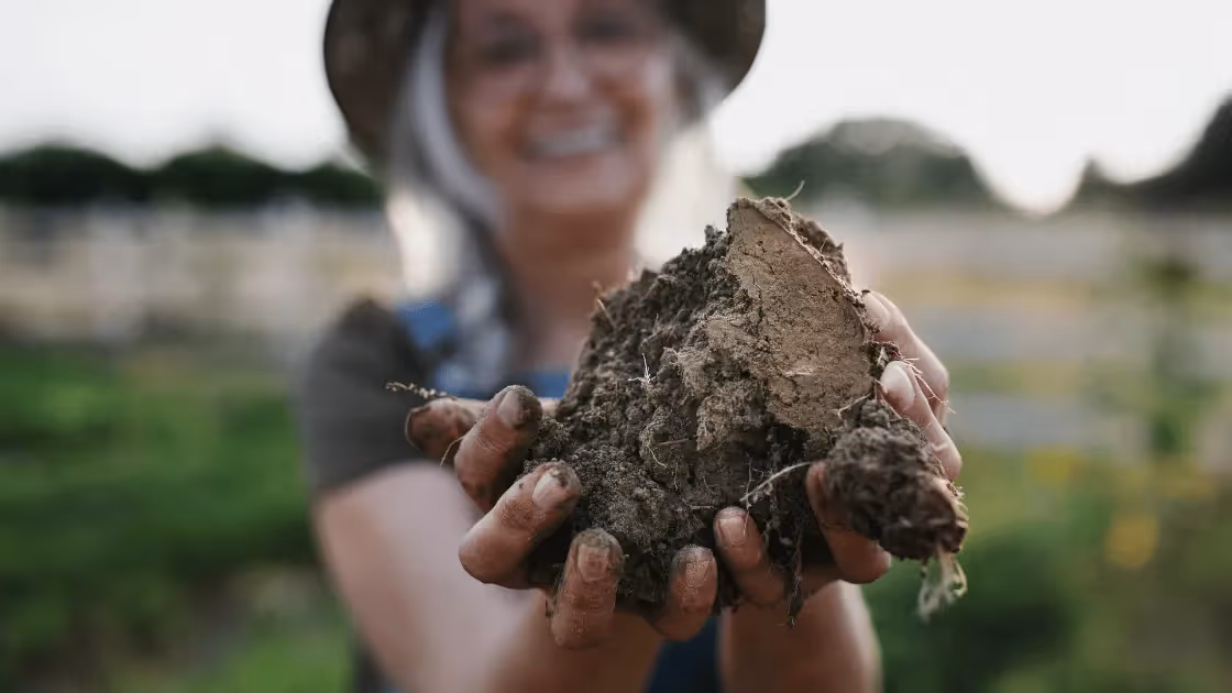 How Regenerative Farms Can Succeed in Wholesale Markets
