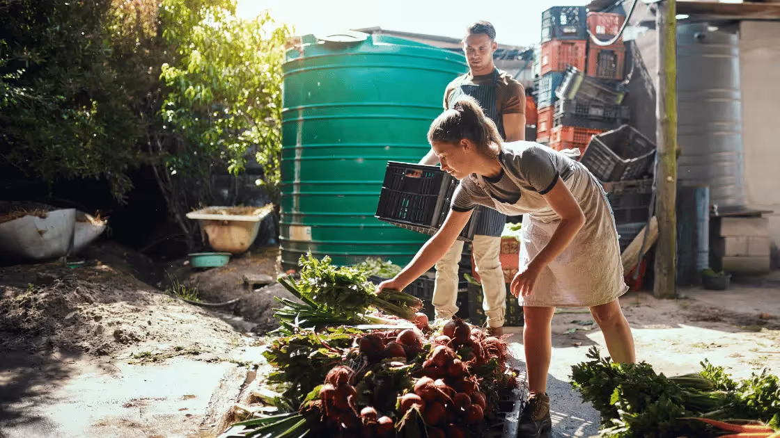 How to Sell Vegetables Online